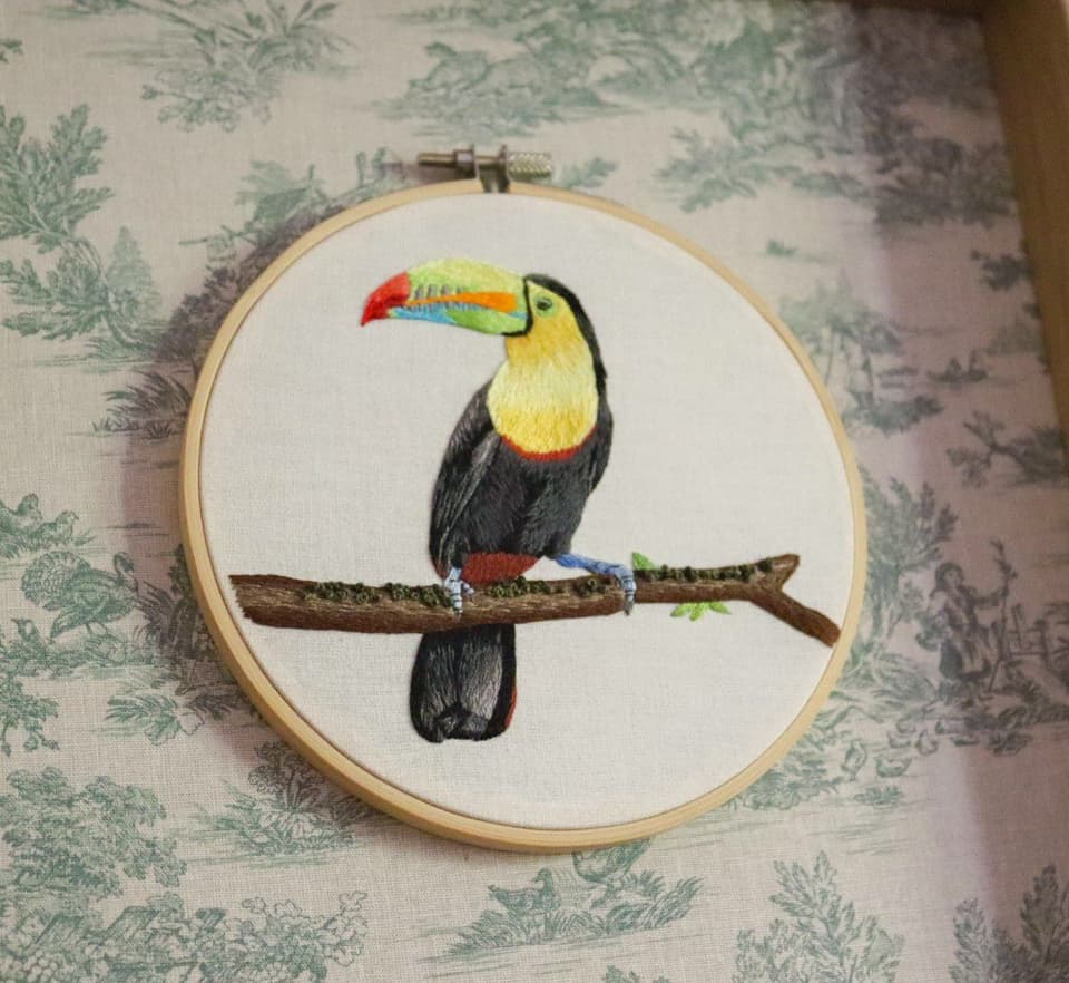 Le Toucan à bec arc-en-ciel, broderie peinture à l'aiguille